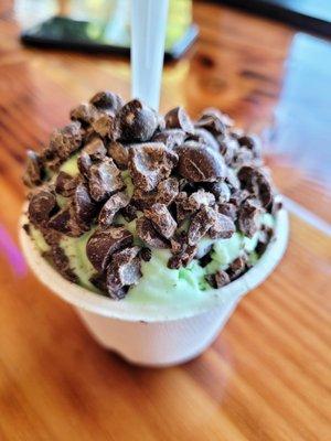 Mint Chocolate Chip Ice Cream w/ Chocolate Espresso Beans