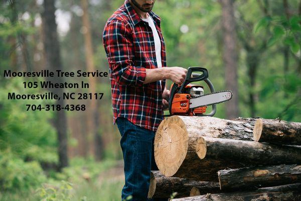 Mooresville Tree Service