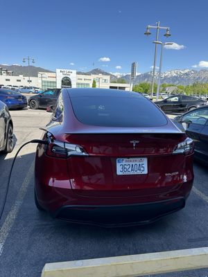 Model Y in this red just pops