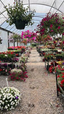 Sherwood Nursery & Greenhouse