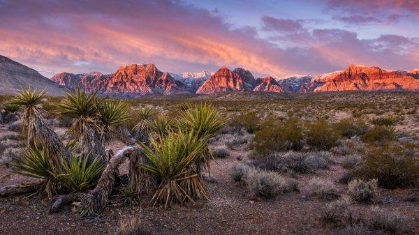 Nevada Land For Sale