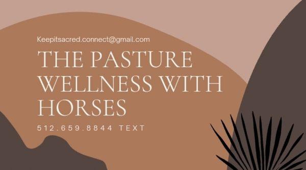 Additional offering: Healing with Horses. (seasonal and weather permitted) whisperingpastures.com for my info.  an hour outside of Austin.