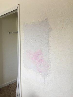 Dry wall repair.