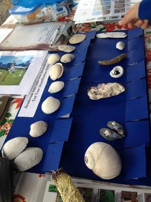 Pacific Shellfish Institute shell identification game 2013