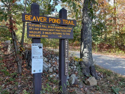 Beaver Pond Trail...