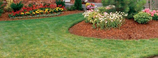 Total Lawn & Landscape