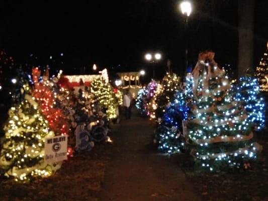 3rd Annual Gallipolis In Lights Ceremony.  Photo credits:  Cheryl Enyart