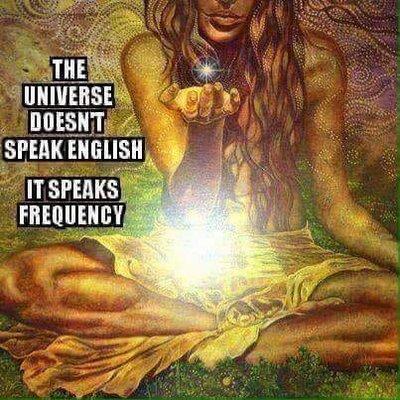 THE UNIVERSE DOESN'T SPEAK ENGLISH,                IT SPEAKS FREQUENCY.