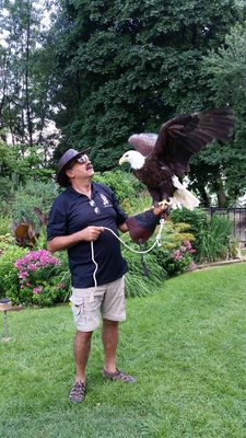 dan frankian working at an event with his bald eagle