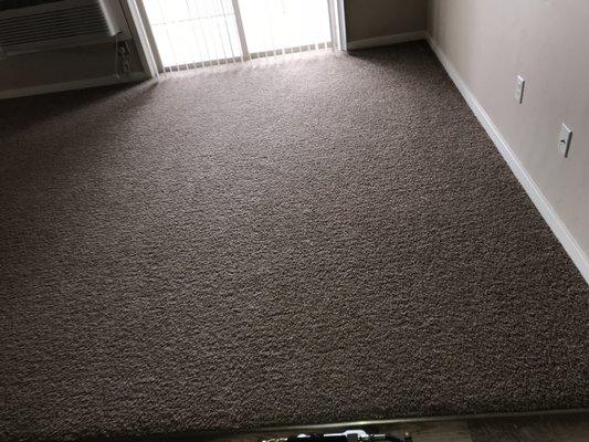 Carpet cleaning