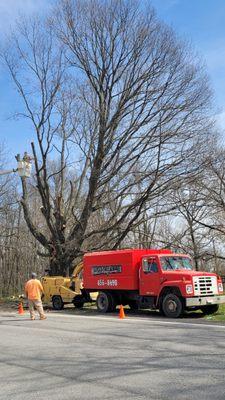 Clyde's Tree Service, LLC