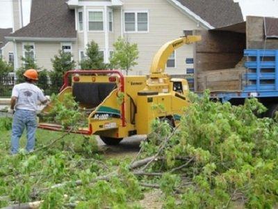 Storm Tree Damage