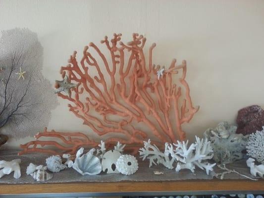 Coral and Sea shell collection at Valley Jewelers.