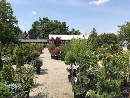 Willo'dell Nursery