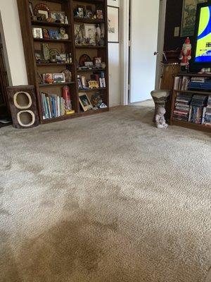 Effective Carpet Clean