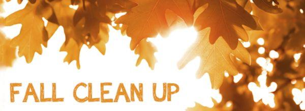 Fall clean up