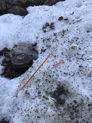 The marker I placed in front of my stone wall. This was the second one deliberately plowed through.