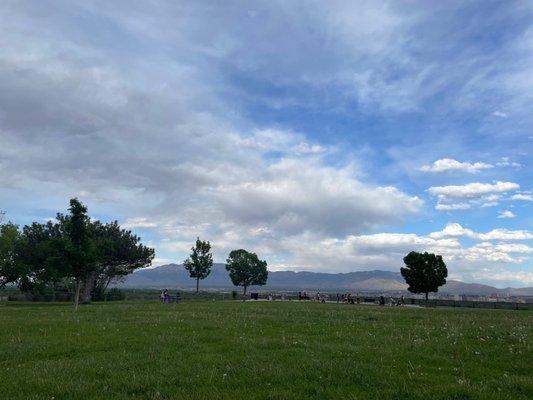 grass area before the gated view