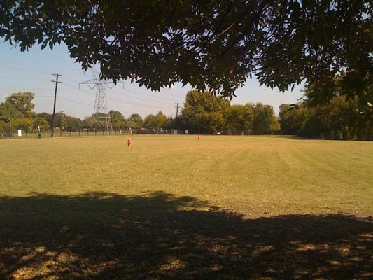 Wide open dog space.   Only shade exists on the outer edges of park though.