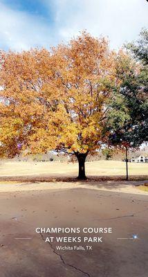 Weeks Park Golf Course