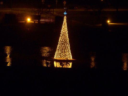 Reflection Tree