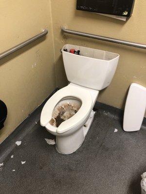 This is the totally unusable toilet in the handicap stall in the ladies room.