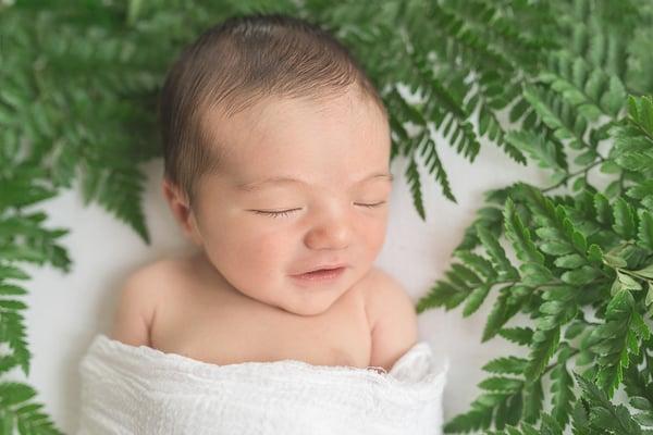 A baby on a bed of ferns by photographer Alison Winterroth