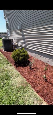 Mulching after