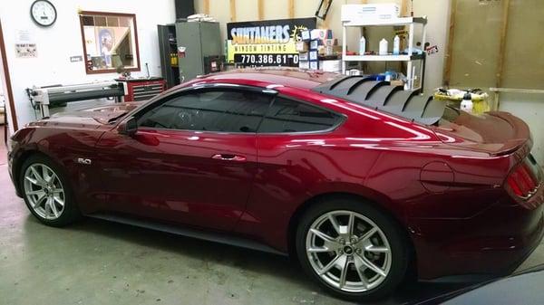 Mustang window tinting with Willpak Louvers