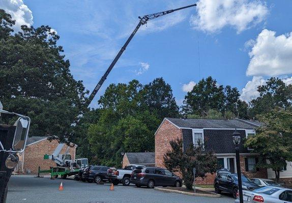 Removing a tree from a tight space