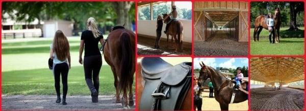 Amazing facility offers riding lessons for beginners to advanced riders.