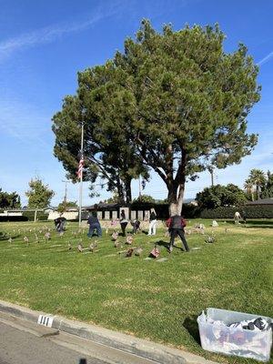 Placing flags for veterans