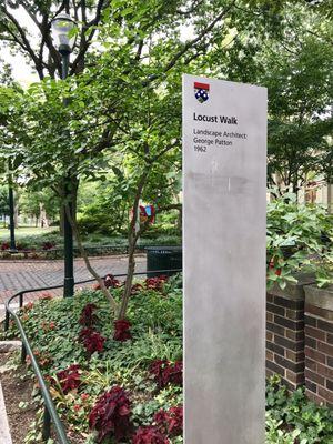 Locust Walk