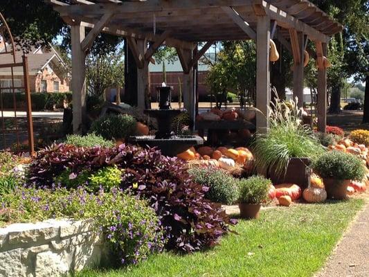 Our Fall pumpkin patch is a local favorite for families.