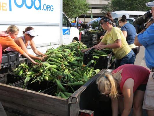 Plant a Mile project with Meals from the Market at the Downtown Farmer's Market.