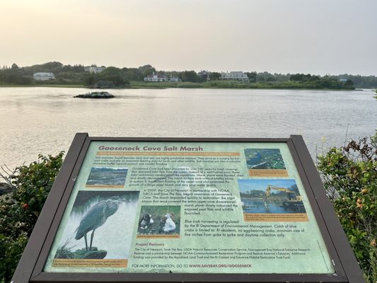 Gooseneck Cove Salt Marsh