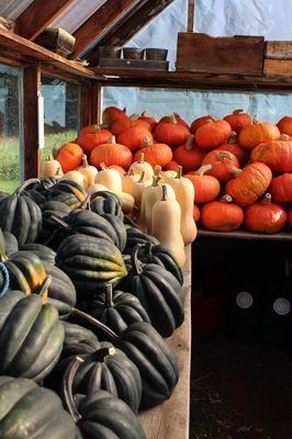 Goodwin's Orchard