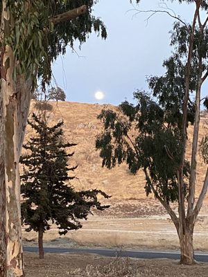 Moon rising over the end of our awesome campsite. Millerton lake.