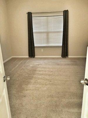 Carpet deep clean