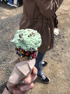 Ice cream was extremely delicious! Flavor: mint chocolate crunch