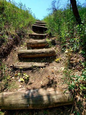 Hiking trail stairs