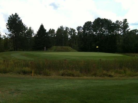 #4 Green with #5 elevated tee in the background.