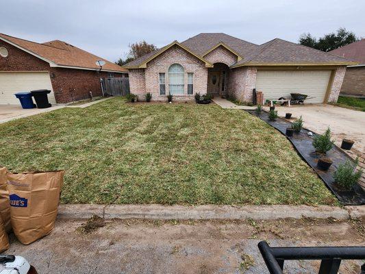 Installation of St. Agustine grass and 10 Leucophyllum frutescens (Texas Sage) into 2 garden beds totaling 220 sq. ft.