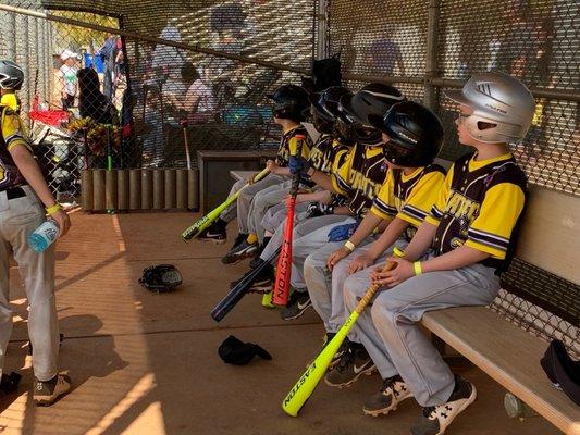 Peccole Little League