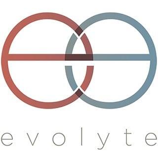 Evolyte: marketing, SEO, design, development, social media, iPhone apps, billboards, PR, TV, Radio