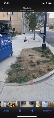 And The Mint doesn't have any future residents loading signs on the street so how can you tell someone to park on a city street