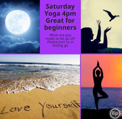 Beginners Yoga on Saturdays at 4 pm