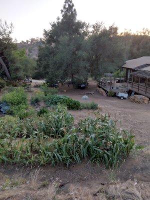 A lovely homestead we cleaned up