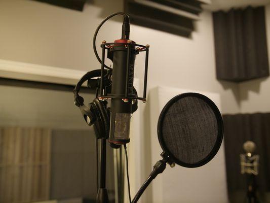 The Manley Ref C tube microphone. Makes Vocals sound finished right out the gate!