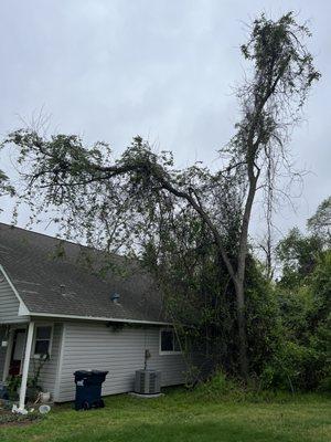 Tree with a large branch right over house.